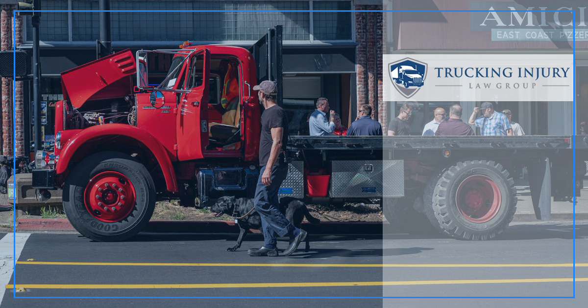 Can Truck Drivers Have Dogs in the Cab?